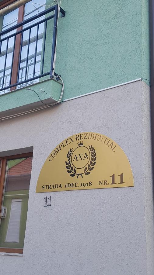 Apartament Teo Caransebeş Екстериор снимка